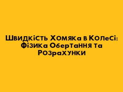 Швидкість Хом'яка в Колесі: Фізика Обертання та Розрахунки