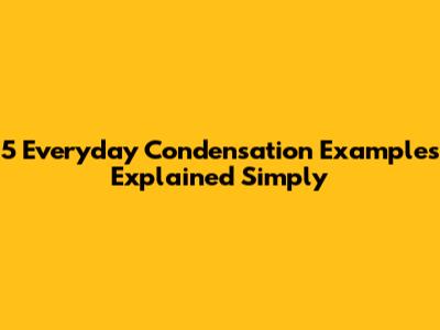 5 Everyday Condensation Examples Explained Simply