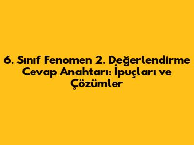 6. Sınıf Fenomen 2. Değerlendirme Cevap Anahtarı: İpuçları ve Çözümler