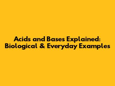 Acids and Bases Explained: Biological & Everyday Examples
