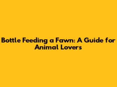 Bottle Feeding a Fawn: A Guide for Animal Lovers