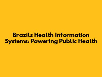 Brazil's Health Information Systems: Powering Public Health