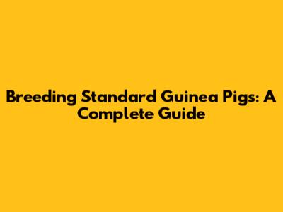 Breeding Standard Guinea Pigs: A Complete Guide
