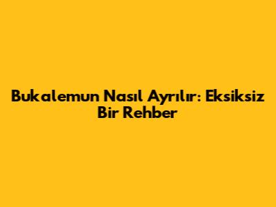 Bukalemun Nasıl Ayrılır: Eksiksiz Bir Rehber