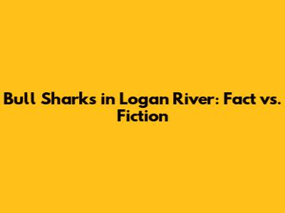 Bull Sharks in Logan River: Fact vs. Fiction