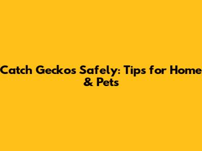 Catch Geckos Safely: Tips for Home & Pets