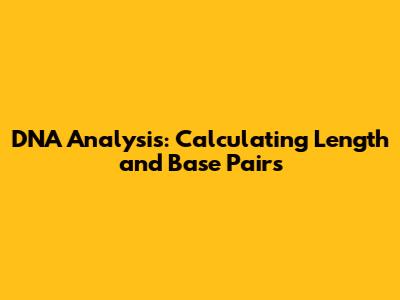 DNA Analysis: Calculating Length and Base Pairs