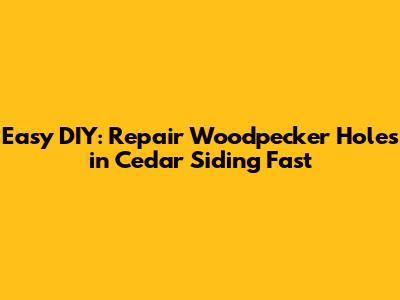 Easy DIY: Repair Woodpecker Holes in Cedar Siding Fast