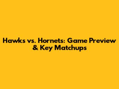 Hawks vs. Hornets: Game Preview & Key Matchups