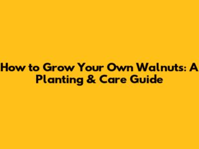 How to Grow Your Own Walnuts: A Planting & Care Guide