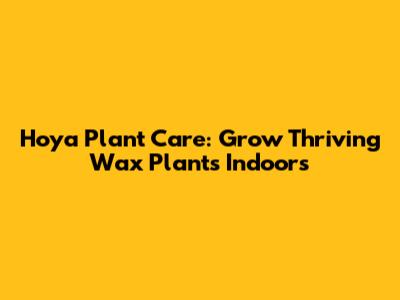 Hoya Plant Care: Grow Thriving Wax Plants Indoors