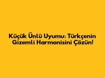 Küçük Ünlü Uyumu: Türkçenin Gizemli Harmonisini Çözün!