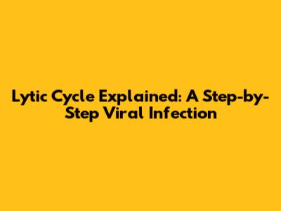 Lytic Cycle Explained: A Step-by-Step Viral Infection