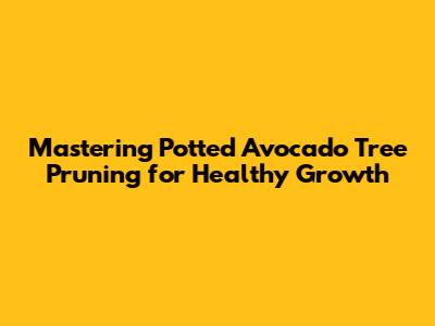 Mastering Potted Avocado Tree Pruning for Healthy Growth