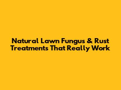 Natural Lawn Fungus & Rust Treatments That Really Work