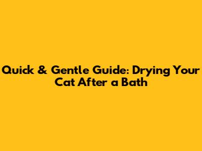 Quick & Gentle Guide: Drying Your Cat After a Bath