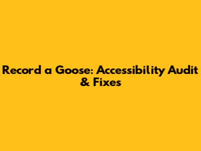 Record a Goose: Accessibility Audit & Fixes