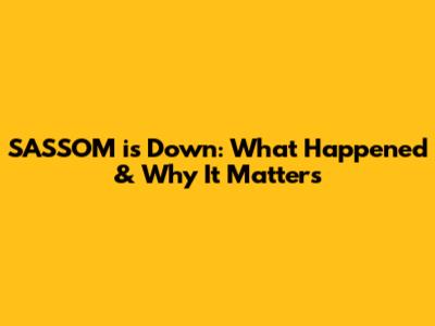 SASSOM is Down: What Happened & Why It Matters