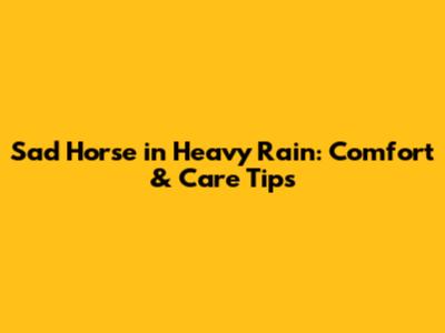 Sad Horse in Heavy Rain: Comfort & Care Tips