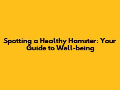 Spotting a Healthy Hamster: Your Guide to Well-being
