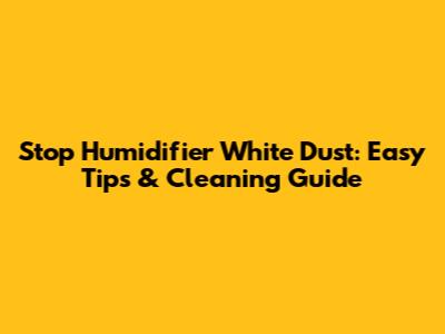 Stop Humidifier White Dust: Easy Tips & Cleaning Guide