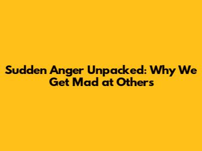 Sudden Anger Unpacked: Why We Get Mad at Others