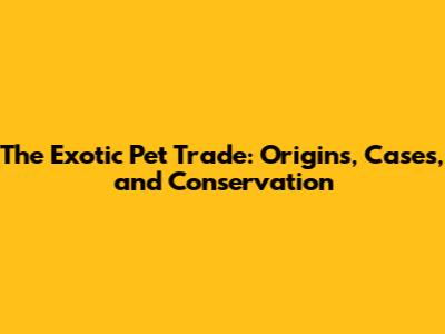 The Exotic Pet Trade: Origins, Cases, and Conservation