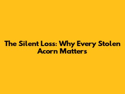 The Silent Loss: Why Every Stolen Acorn Matters