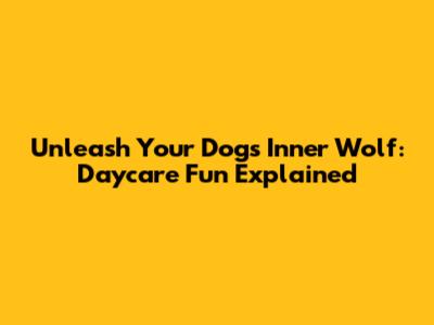 Unleash Your Dog's Inner Wolf: Daycare Fun Explained