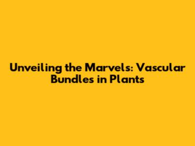Unveiling the Marvels: Vascular Bundles in Plants