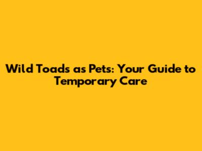 Wild Toads as Pets: Your Guide to Temporary Care
