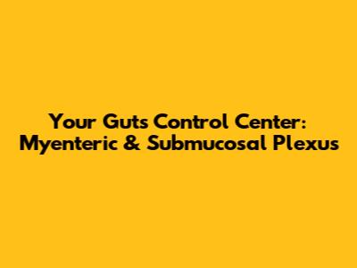 Your Gut's Control Center: Myenteric & Submucosal Plexus